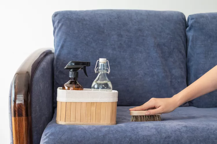 أدوات تنظيف الكنب المنزلي واستخدام الفرشاة الناعمة لإزالة الأتربة