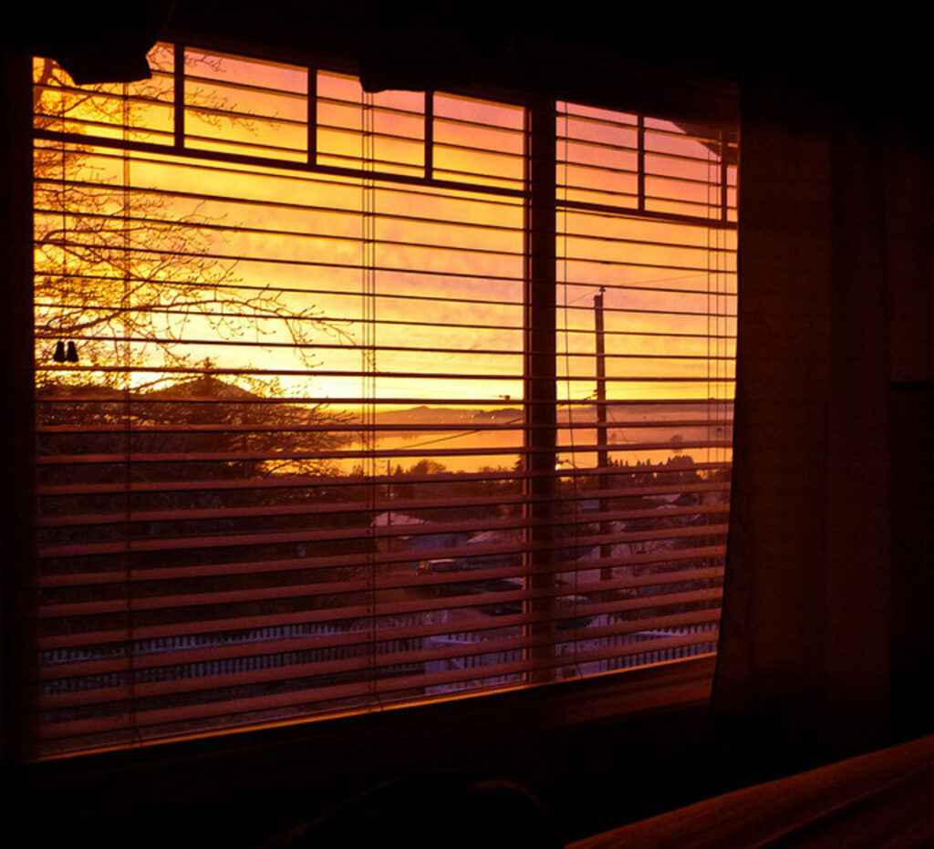 استخدام حواجز النوافذ والستائر للوقاية من دخول الحشرات الطائرة وقت الغروب