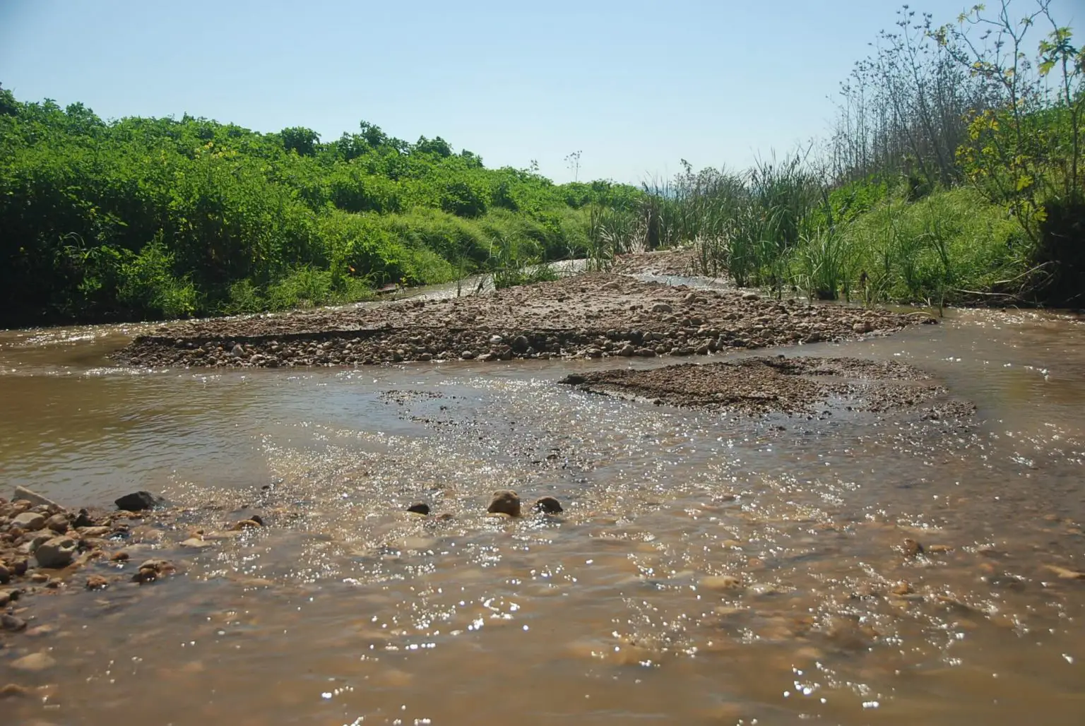منظر طبيعي لمجرى مائي يتأثر بمخلفات المبيدات الكيميائية وتسربها للمياه الجوفية