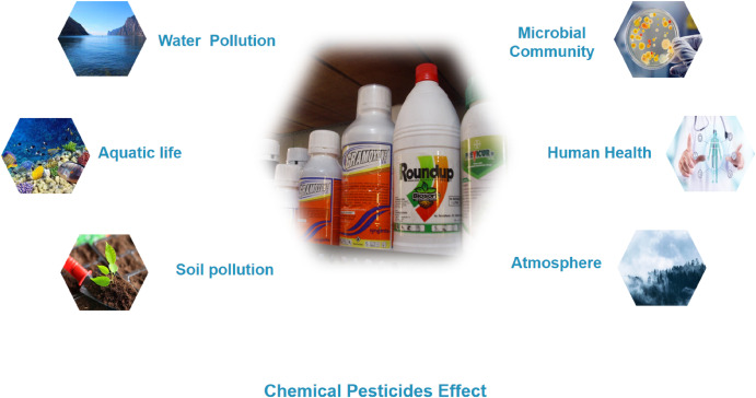 مخطط يوضح تأثير المبيدات الكيميائية على الصحة العامة والبيئة والمياه
