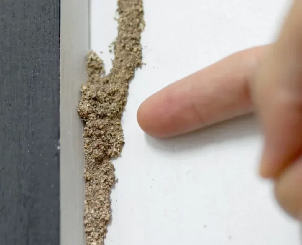 أنفاق طينية للنمل الأبيض على الجدار - علامات إصابة المنزل بالنمل الأبيض.