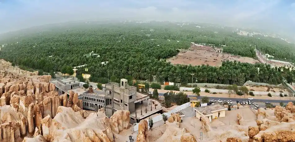 شركات تنظيف في الأحساء: السجاد والمجالس