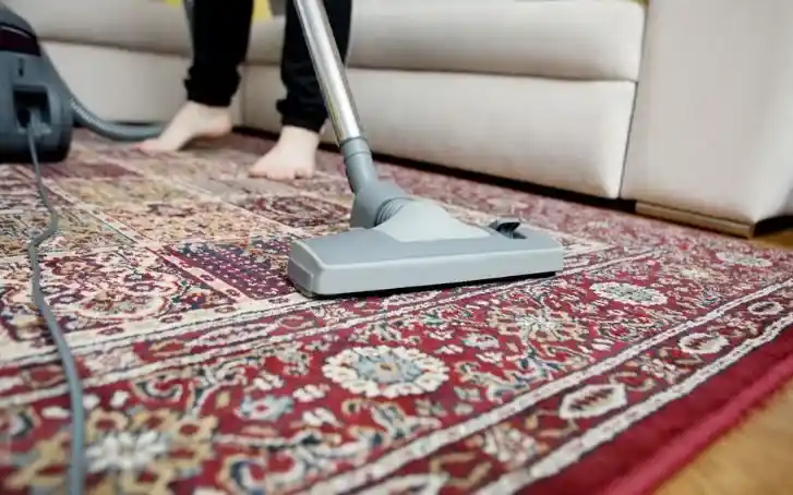 "رأس مكنسة كهربائية على سجادة بنقوش، يوضح تنظيف السجاد في المناطق المستخدمة كثيرًا داخل المجلس."