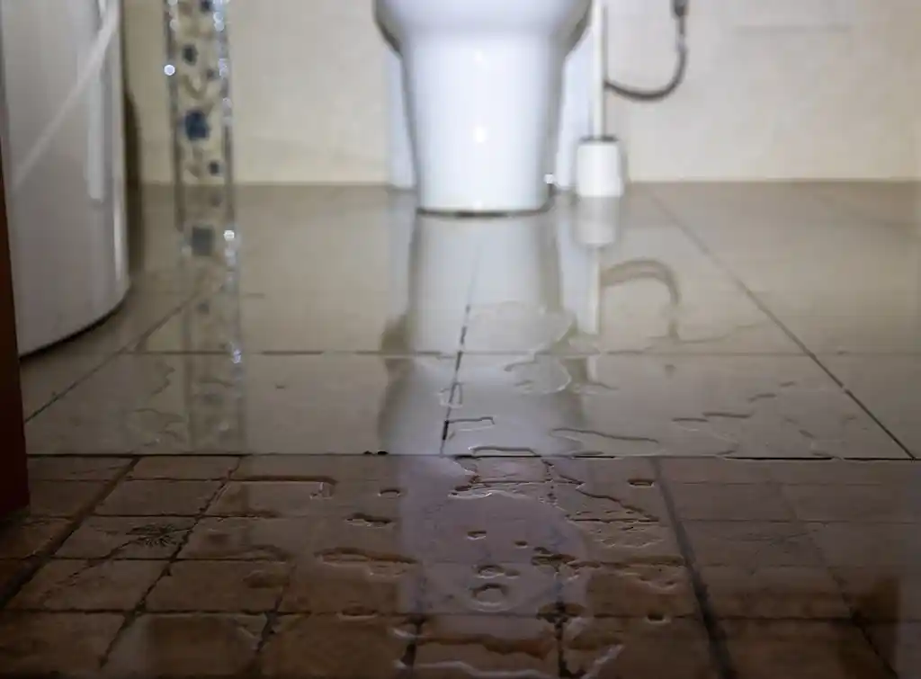 تسربات المياه في الحمامات التي تؤدي إلى تجمع الحشرات والنمل الأبيض