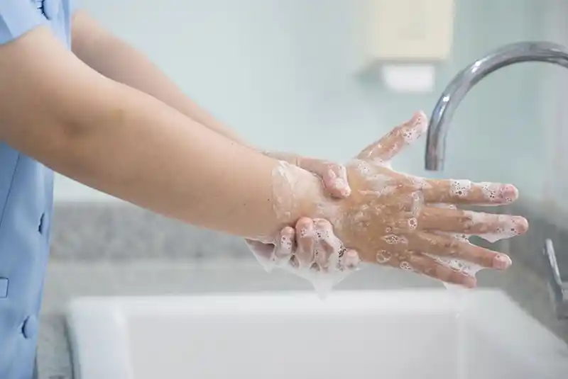 الاهتمام بالنظافة الشخصية والمنزلية للوقاية من انتشار الآفات