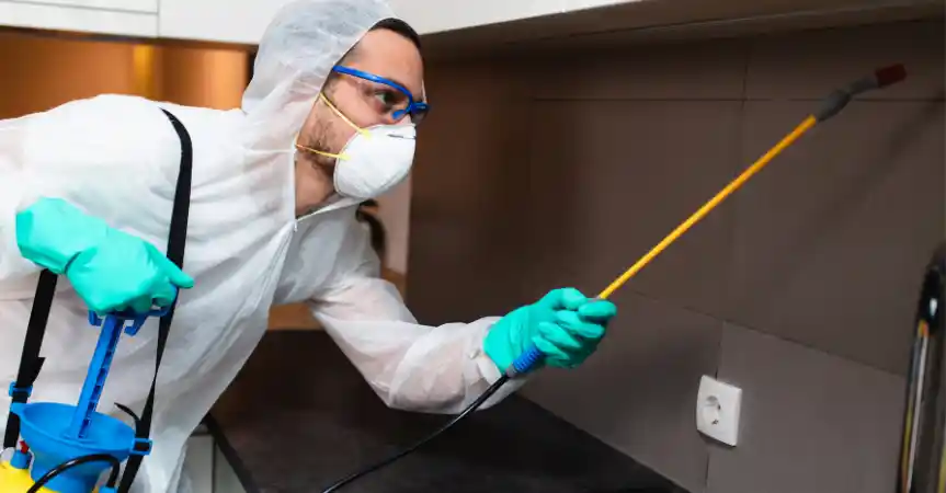 فني مكافحة حشرات يفحص الزوايا والشقوق في المطبخ