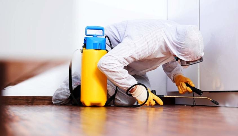 شركة مكافحة حشرات محترفة تقوم برش المبيدات في مطبخ سكني لضمان بيئة خالية من الآفات